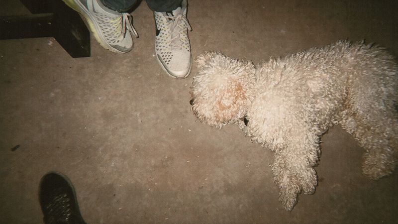 Two left feet w/ Danae