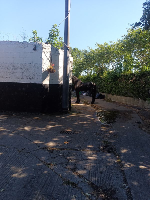 this place i now call home w/ ejc