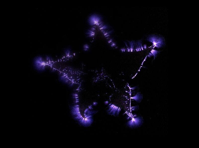 Under Sleepy Moon w/ Yawning Portal