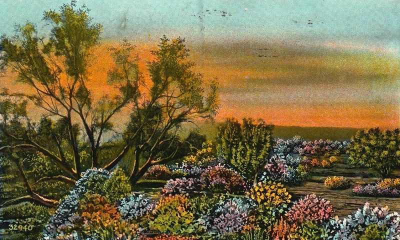 West Coast Fog: Springtime Feelings