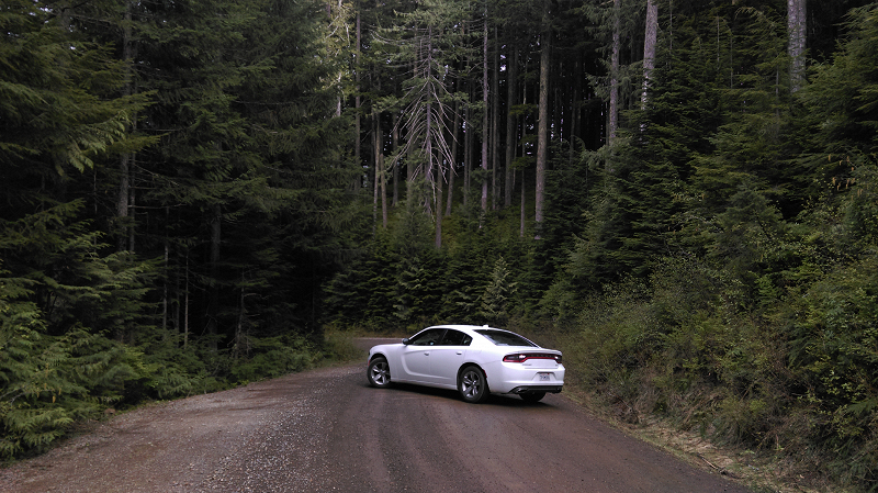 ARRHYTHMIA - Best of 2025