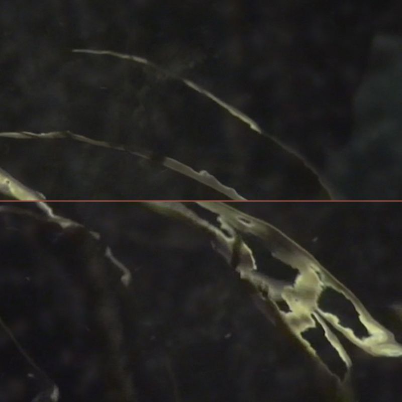 IKR. IMPRINT + MATILDA TJÄDER