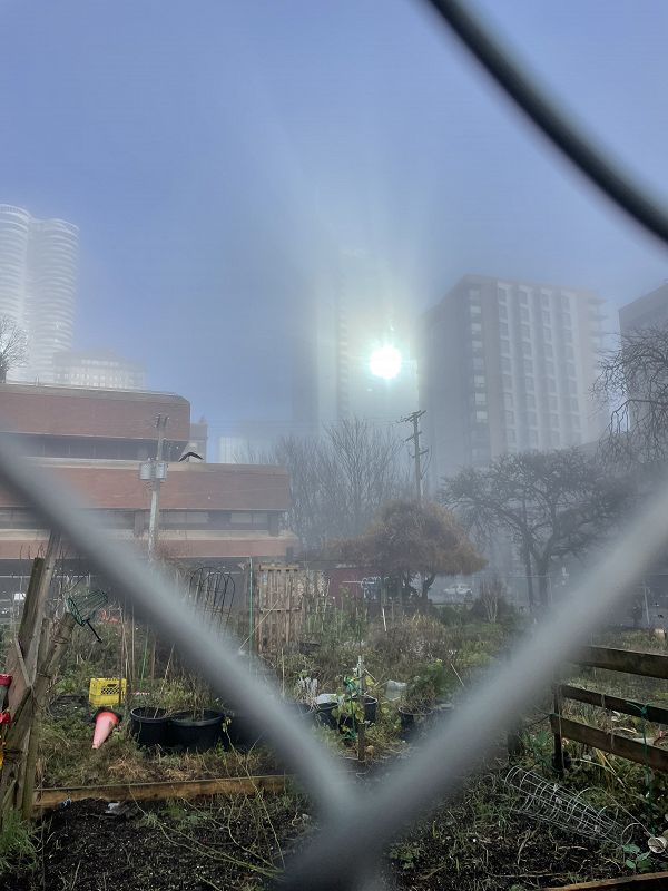 Pender Street Steppers