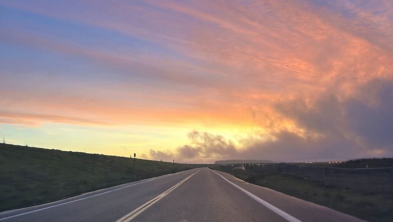 Spring is in the Air w/ Palm Pilot