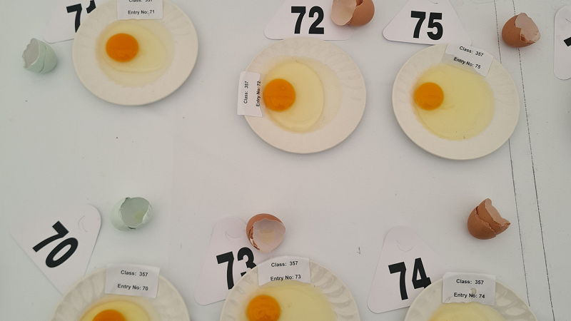 Fractal Meat On A Spongy Bone