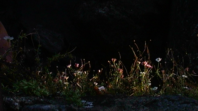 Pianpianino w/ DJ Fine