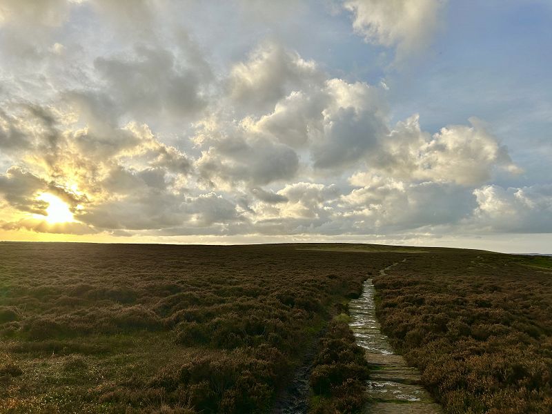 Thea HD - Autumn Special