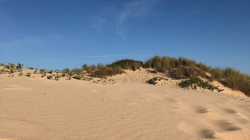 All Styles All Smiles w/ Javybz