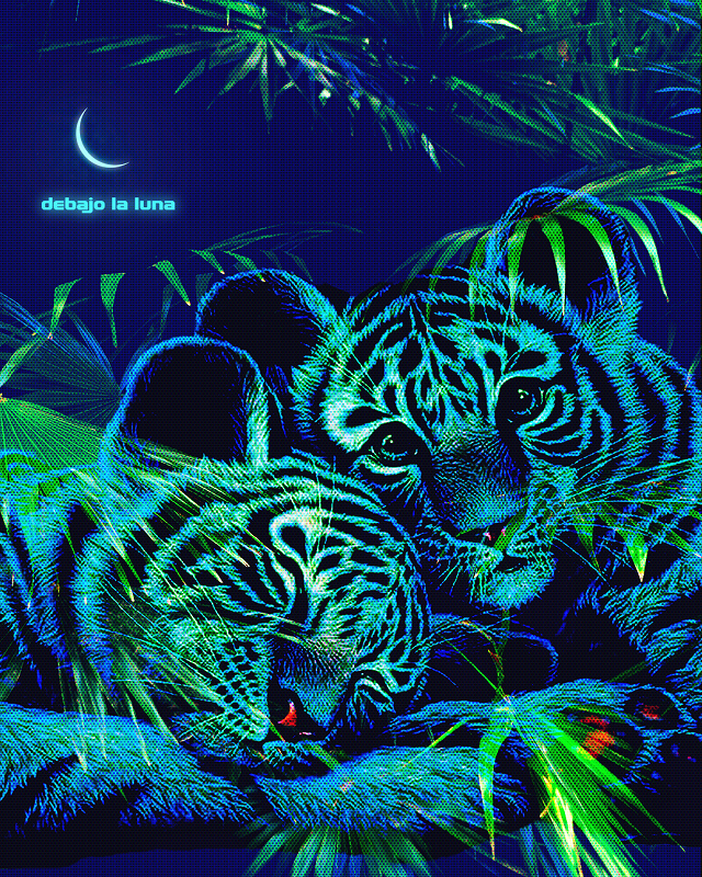 DEBAJO LA LUNA W/ SÁNLO