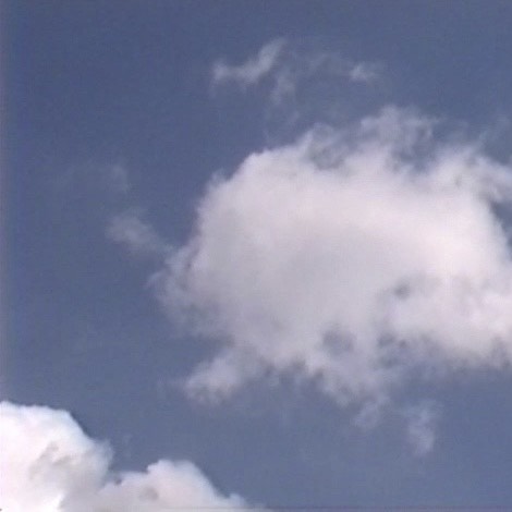 Machines of Loving Grace w/ body / negative