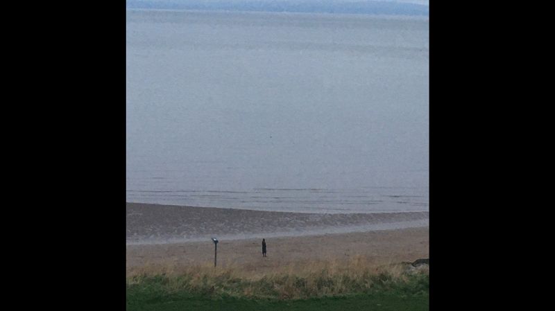 OnoTesla - a walk With Philip Sykes 