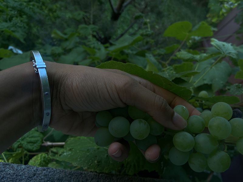 DRAWING DOORS w/ OURI & NINA KEITH