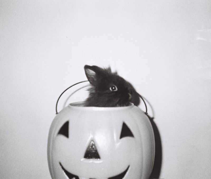 Machines of Loving Grace w/ Midwife