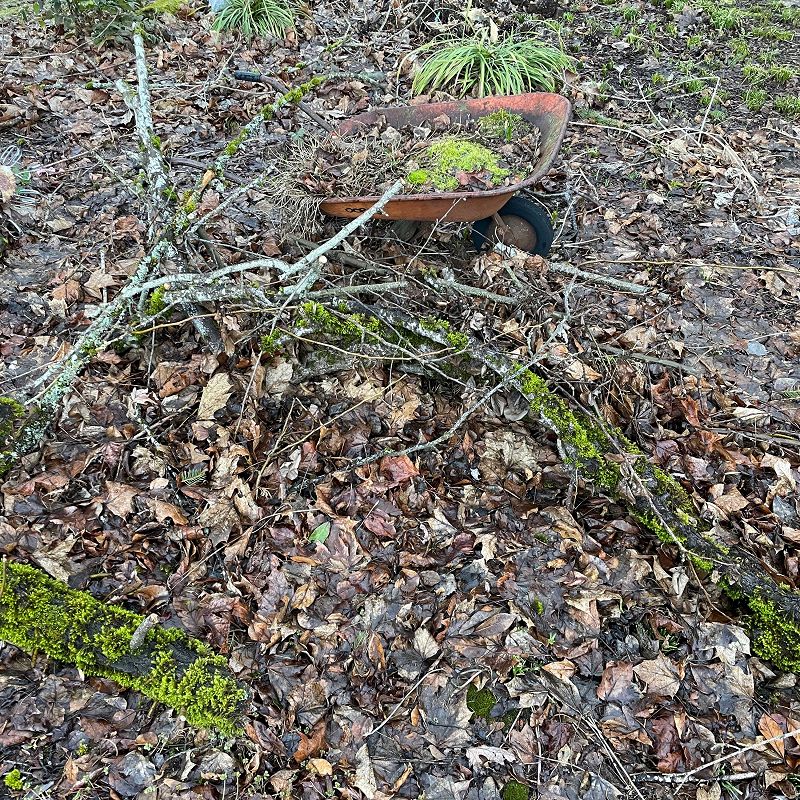 The Head Zone w/ Ripley Johnson