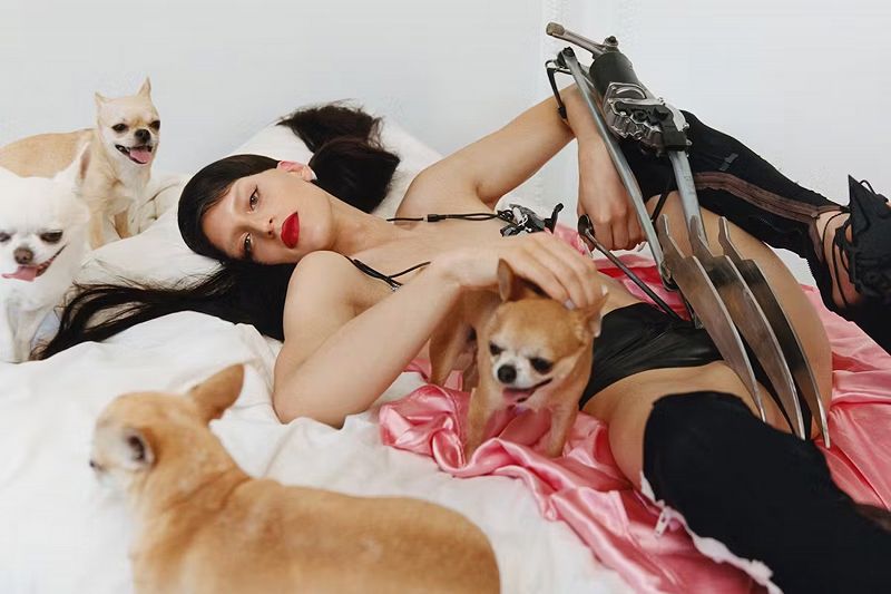 In Focus: Arca