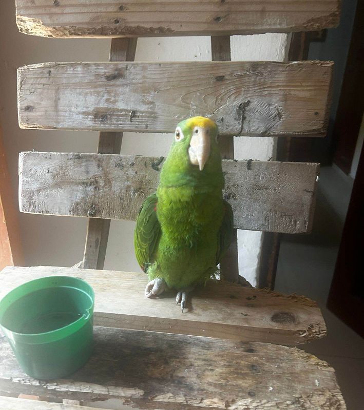 Club Coco w/ Coco María