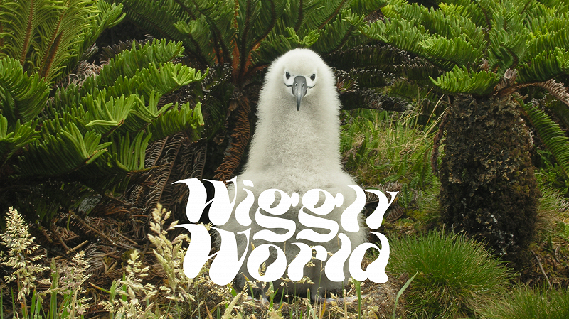 461a6df3-1bd7-42c0-bd92-