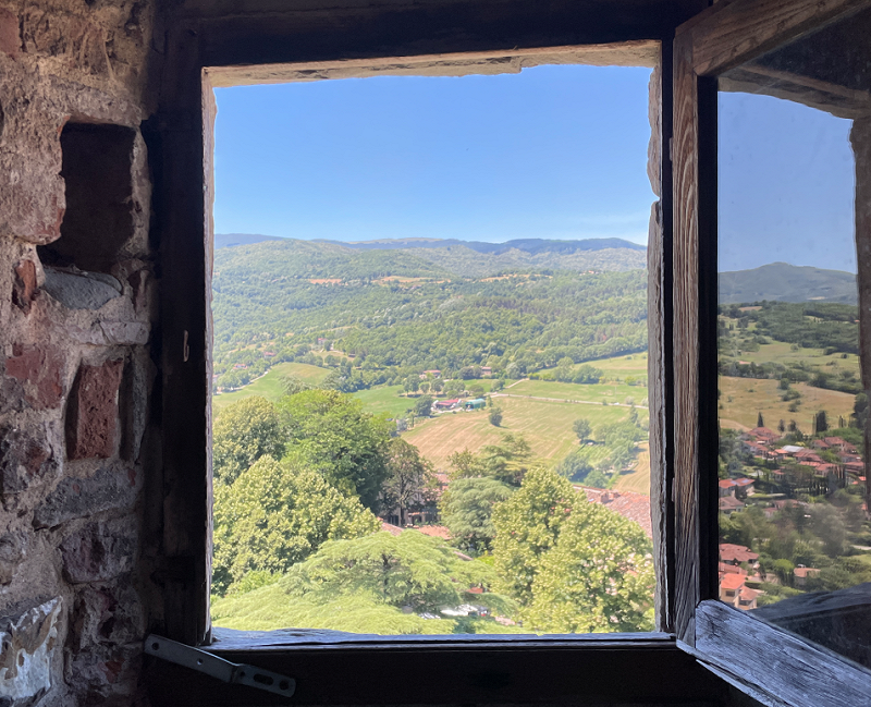 The Head Zone w/ Ripley Johnson