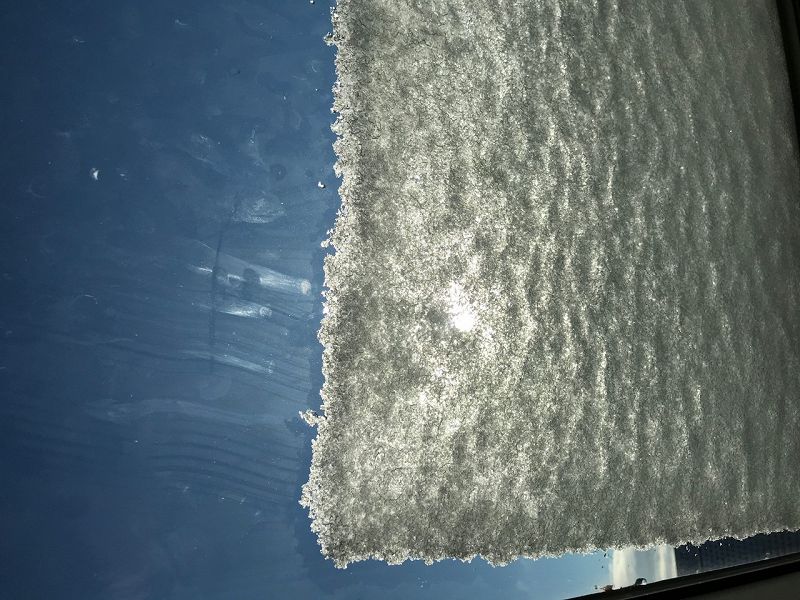 Greetings From The Bin w/ Basso