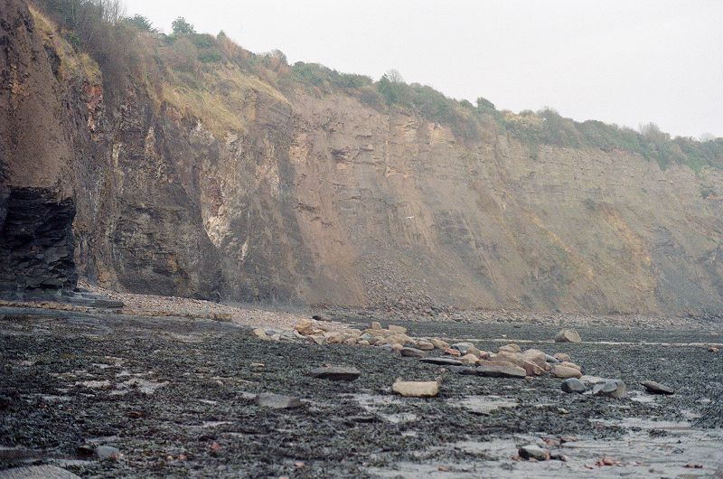 Tough Matter w/ Ashley Holmes