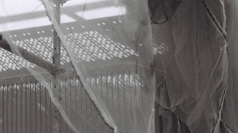 The Early Bird Show w/ PAM