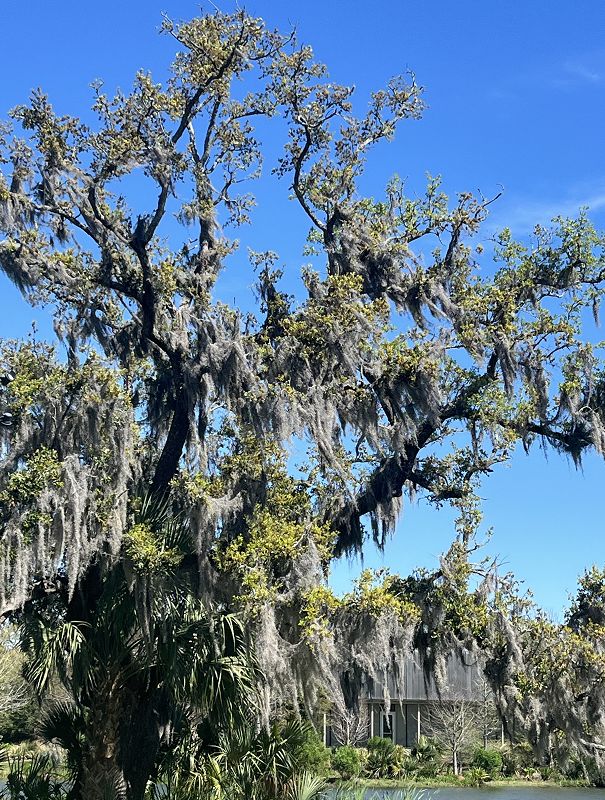 Self Soothe w/ Margeaux