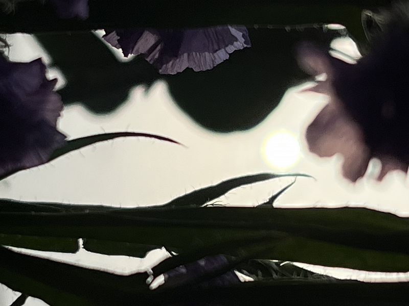 The Early Bird Show w/ Jack Rollo & Kaity Fox