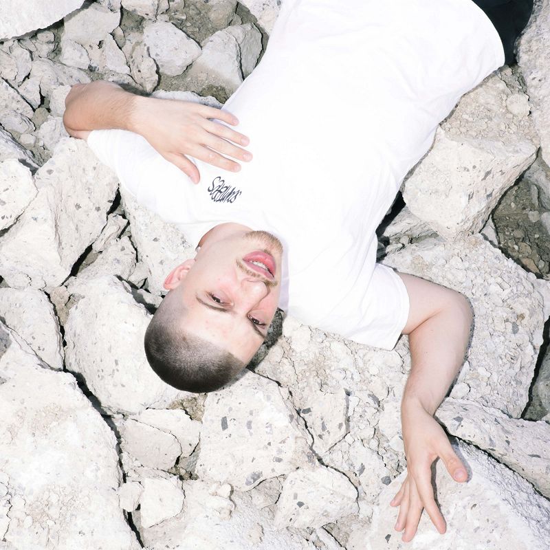 SHAPE+: Fujita Pinnacle