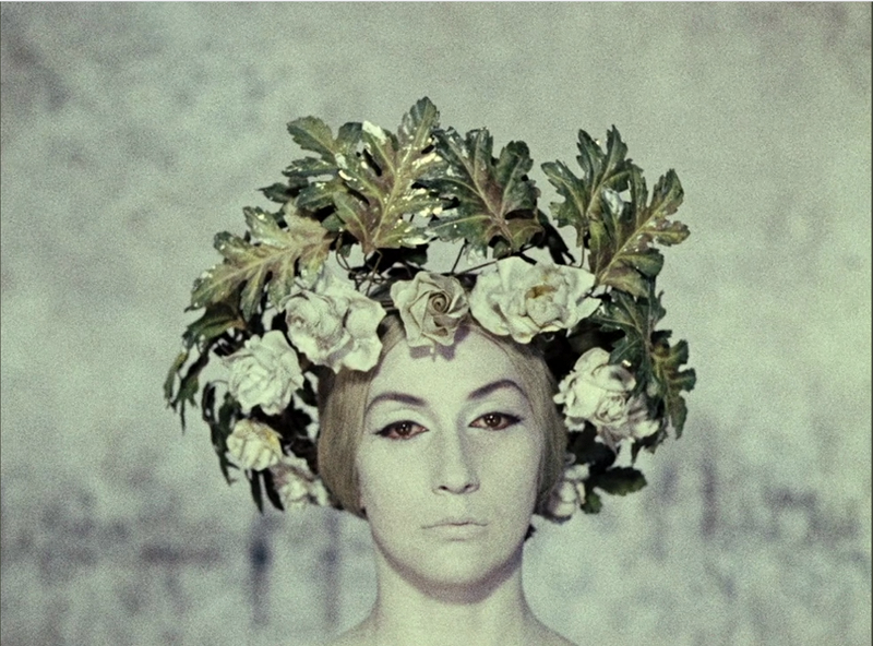 Time Is Away - The Colour of Pomegranates