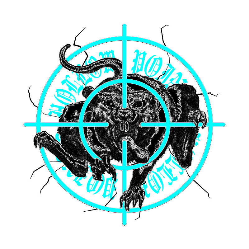Hollow Points Radio w/ NOTS