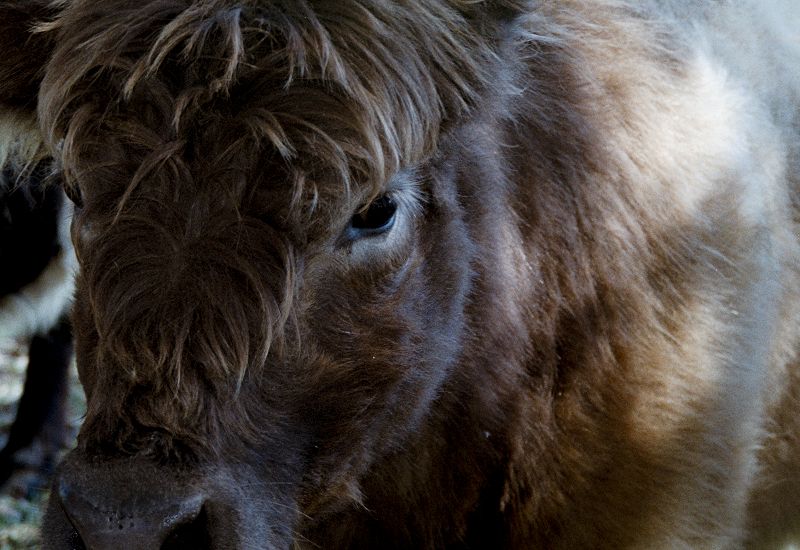 Como La Flor w/ Jazmin