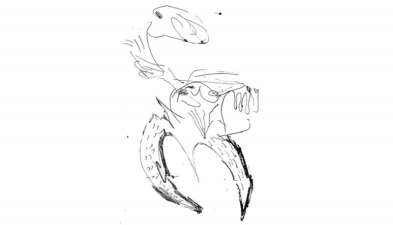 Sendspaace w/ Vul Vulpes