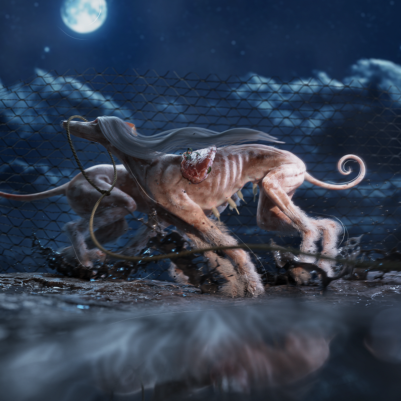 SVBKVLT: Genome 6.66 MBP 6 Years w/ Kilo Vee