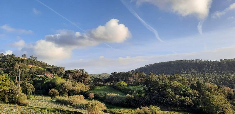 aldeia portuguesa w/ henrique?