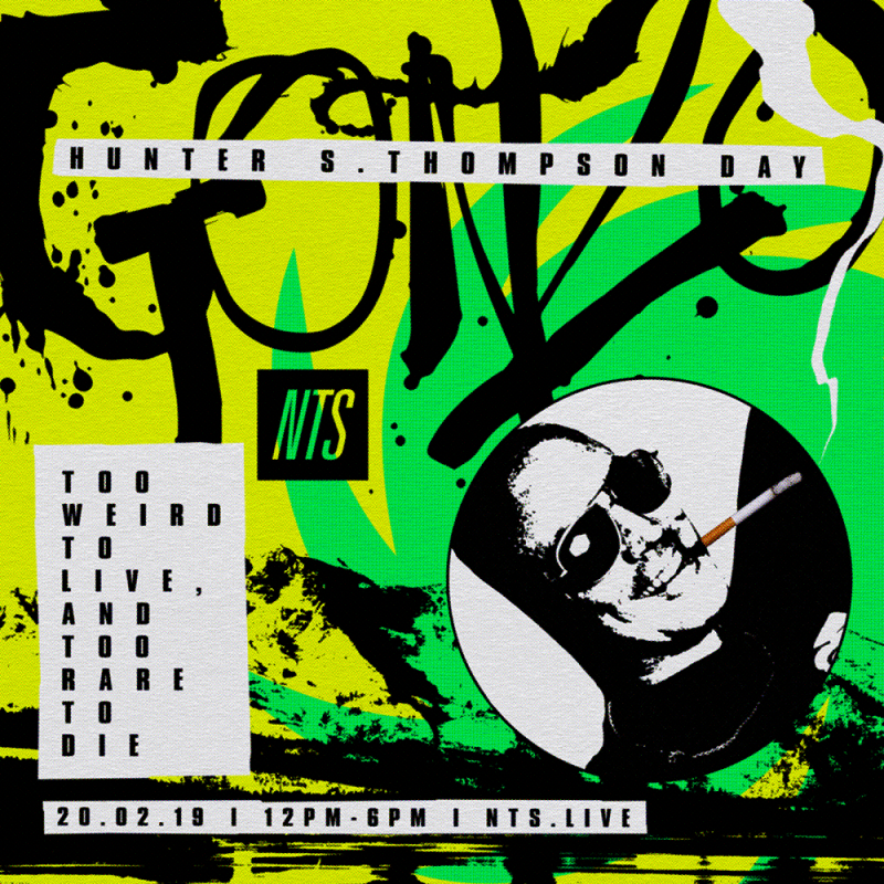 Too weird to live, too rare to die - Hunter S. Thompson Day 19 Feb 2019 Incoming