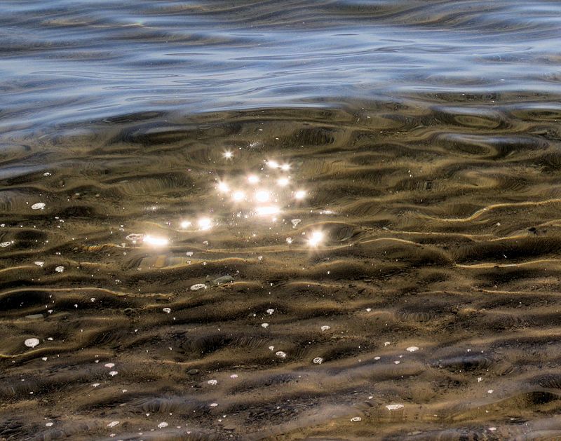 Liquid Mirror: Songs for Budding Beginnings