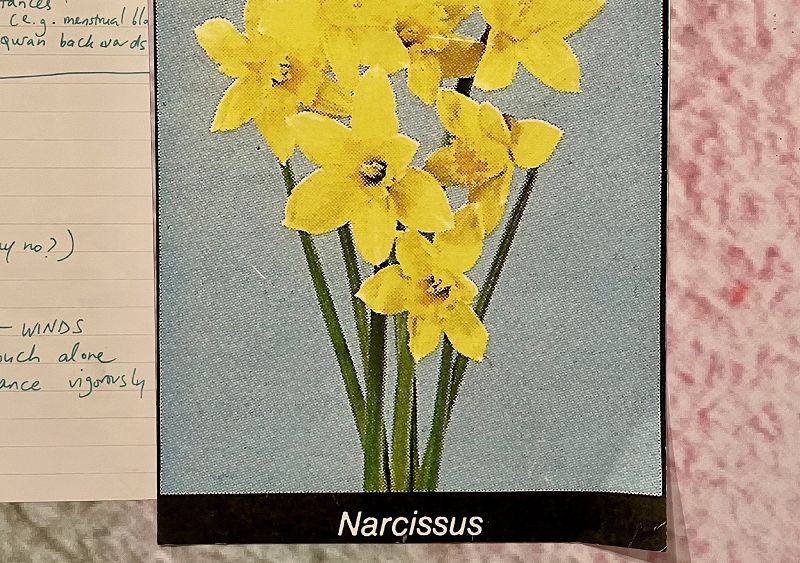 WOODGRAIN w/ DENNIS.EXP & Leo Gibbon