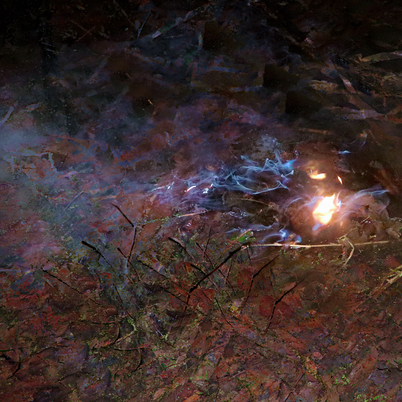 Olga Productions presents , ' ' · , sur les cendres