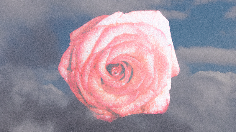 Heaven and Earth Magic w/ Jocelyn Romo