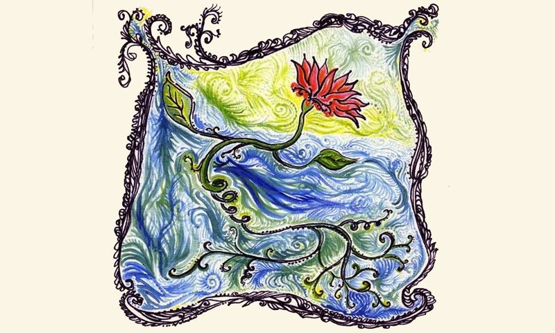 NTS Guide to: New Weird America