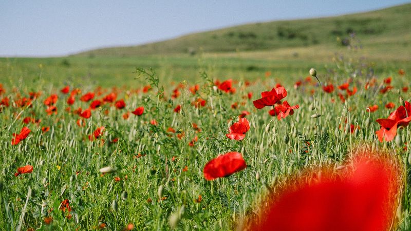 TRANSREGIONAL FUNK W/ RECORDS FROM AROUND THE WORLD