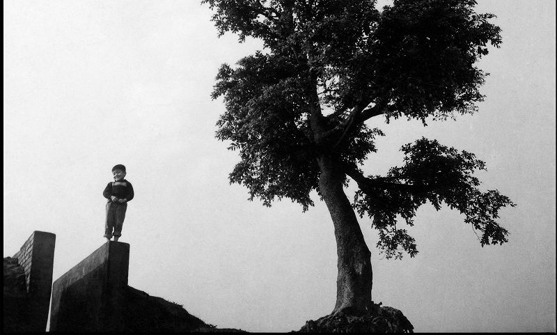 East Never Loses w/ Angie QQ