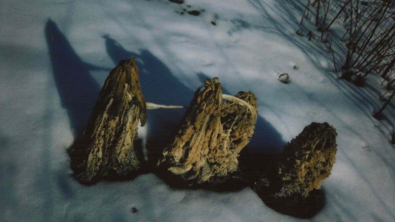 A Month of Sundays w/ Bill Spencer