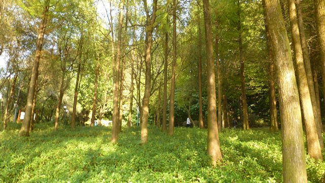 The Early Bird Show w/ Bitter Babe