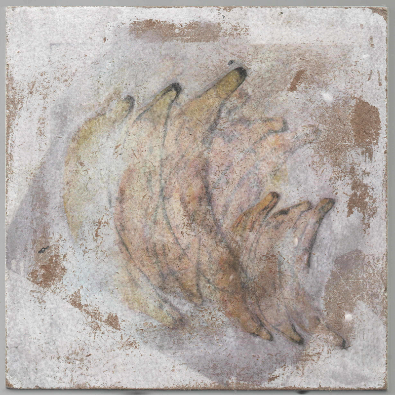 carriage 1: swaampcat w/ Dani Roade