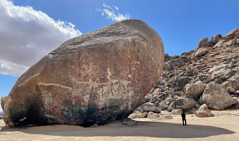 The Head Zone w/ Ripley Johnson