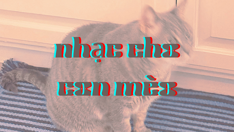 nhạc cho con mèo w/ catppl