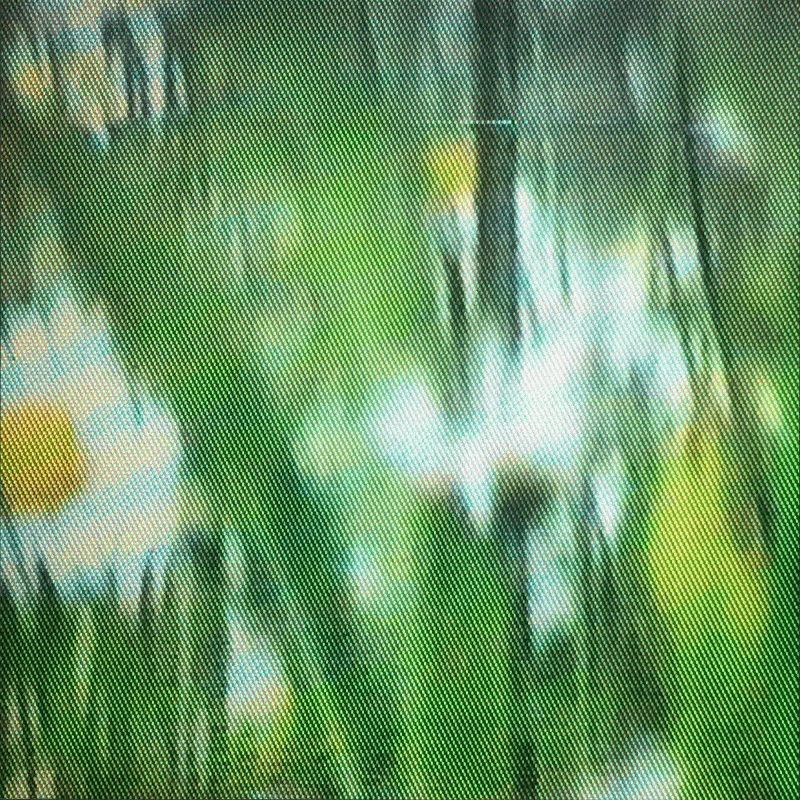 Pender Street Steppers w/  DJ Ray