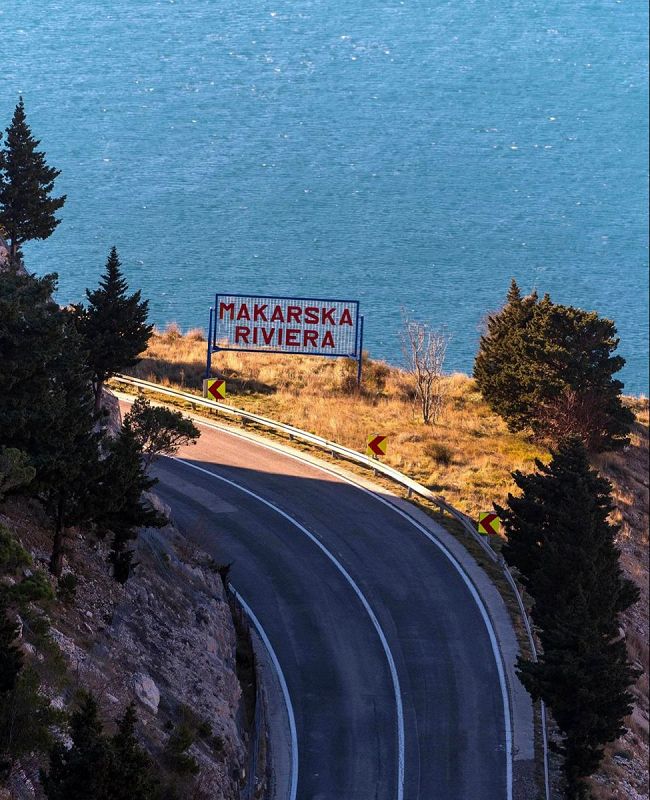 CELLULAR WHISPERS W/ MIRA URSIC