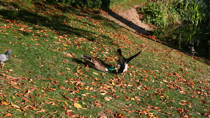 The NTS Breakfast Show w/ Pam